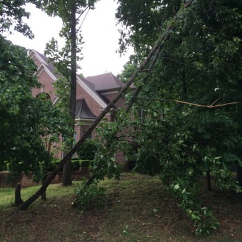Red's Tree Service - Trees snapped - Tree Services Near Me - Memphis, Tennessee Red's Tree Service - Trees snapped - Tree Services Near Me - Memphis, Tennessee