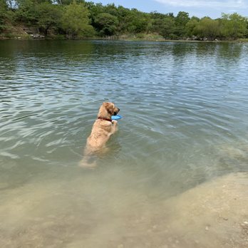 Tom Slick Park - Swimming!!! - Dog Parks Near Me - San Antonio, Texas Tom Slick Park - Swimming!!! - Dog Parks Near Me - San Antonio, Texas