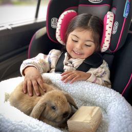Great first pet for littles to start learning gentleness and responsibilities!