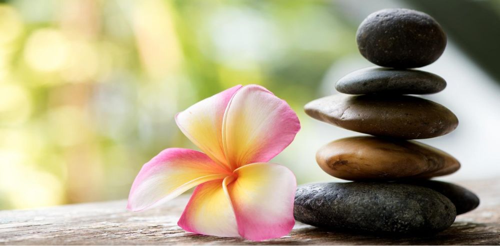 Serenity Holistic Ob/Gyn & Wellness Spa - patient advocate in North Miami Beach, FL