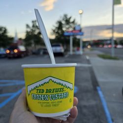 Ted Drewes Frozen Custard - Small Lemon Crumb Concrete