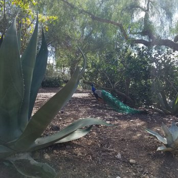 Leo Carrillo Ranch Historic Park - 3/25/18 - Landmarks & Historical Buildings Near Me - Carlsbad, California