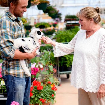 The Windsor Gardener - Nurseries & Gardening Near Me - Windsor, Colorado The Windsor Gardener - Nurseries & Gardening Near Me - Windsor, Colorado