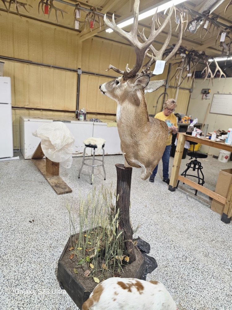 Hunt Taxidermy - taxidermy in Lawton, OK