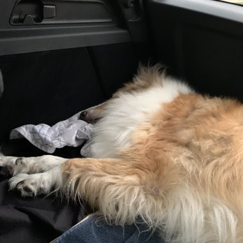 Avery Ranch Animal Hospital 25 Photos 39 Reviews Veterinarians 12720 Avery Ranch Blvd Cedar Park Tx Phone Number Yelp