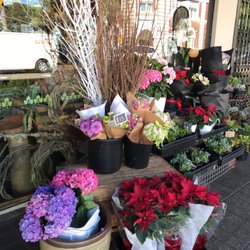 Potteround Floral Design