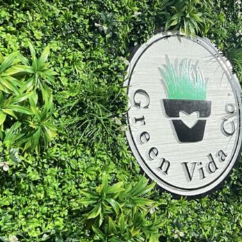 Green Vida - Juice Bars & Smoothies Near Me - Easton, Pennsylvania Green Vida - Juice Bars & Smoothies Near Me - Easton, Pennsylvania
