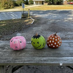 Brew Crue Coffee - Pumpkins were too cute!