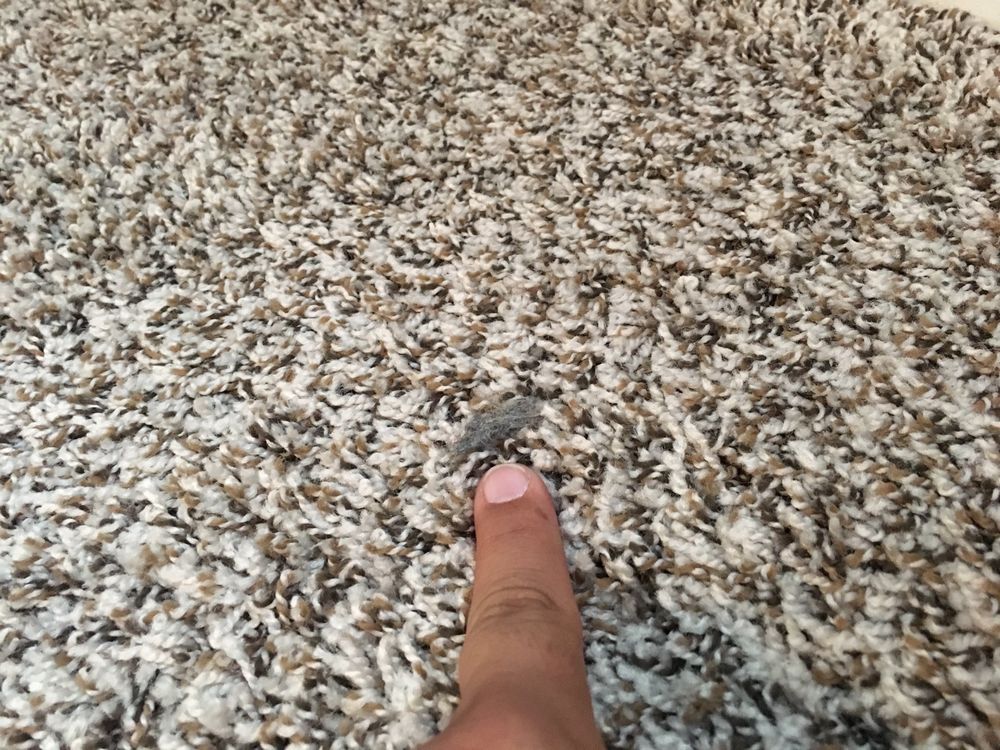 REAL PROPERTY MANAGEMENT TODAY Updated August 2024 55 Reviews