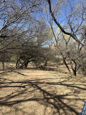 Patagonia Lake State Park by null