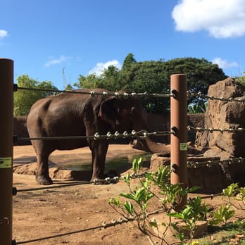 Honolulu Zoo - Zoos Near Me - Honolulu, Hawaii