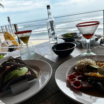 7 Seas - Tuna taco trio and shrimp scampi - Seafood Near Me - San José del Cabo, BCS 7 Seas - Tuna taco trio and shrimp scampi - Seafood Near Me - San José del Cabo, BCS