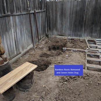 Environmental Green Tree Care - Bamboo Roots Removed and Holes Dug for New Trees - Tree Services Near Me