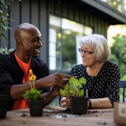 New Horizons In Home Care