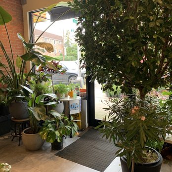 Kunst Coffee Haus - Coffee & Tea Near Me - Bayside, New York