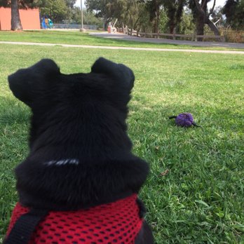 Eagle Rock Recreation Center - Chilling out on the grass. - Recreation Centers Near Me - Los Angeles, California Eagle Rock Recreation Center - Chilling out on the grass. - Recreation Centers Near Me - Los Angeles, California