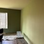 Photo of Bonnies Precise Painting