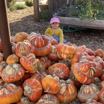 Earthbound Farm Stand - Organic Stores Near Me - Carmel, California