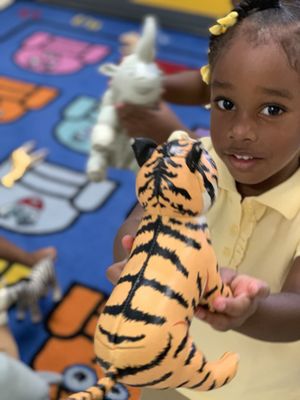 Whiz Kid Learning Center