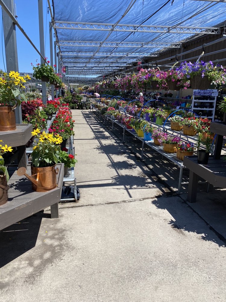 STEIN’S GARDEN & HOME Updated September 2024 19 Photos & 24 Reviews