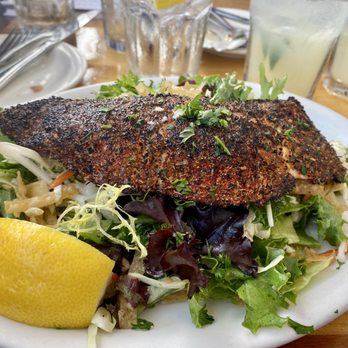 Brophy Bros - Salmon salad - Seafood Near Me - Santa Barbara, California Brophy Bros - Salmon salad - Seafood Near Me - Santa Barbara, California