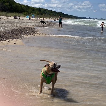 Indiana Dunes State Park - Parks Near Me - Chesterton, Indiana Indiana Dunes State Park - Parks Near Me - Chesterton, Indiana