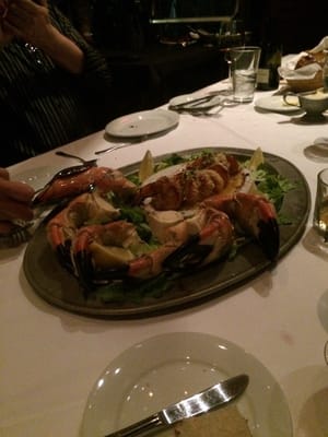 New York Prime by null