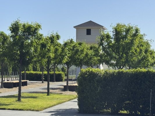 Silver Oak Alexander Valley by null