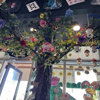 Alice’s Tea Shoppe - Tea Rooms Near Me - Land O' Lakes, Florida