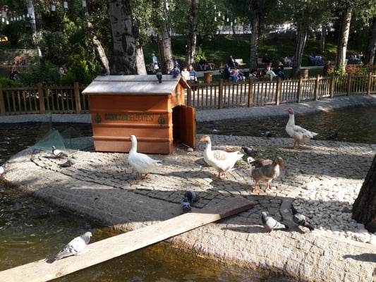 Kuğulu Park by null