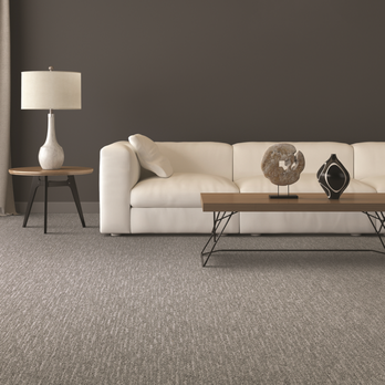 Flooring Expo by Carpet King - a living room - Carpeting Near Me - Eagan, Minnesota
