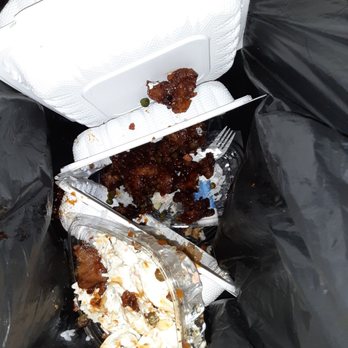 Asia Ginger Teriyaki & Roll - All horrible food straight to trash - Japanese Near Me - Seattle, Washington Asia Ginger Teriyaki & Roll - All horrible food straight to trash - Japanese Near Me - Seattle, Washington