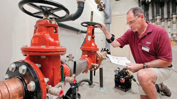 Diamondback Backflow Logo