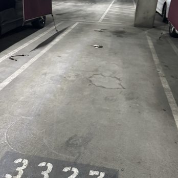 Wally Park - Dead rat - Parking Near Me - Los Angeles, California Wally Park - Dead rat - Parking Near Me - Los Angeles, California