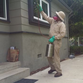 Ray's Pest Control Inc. - Pest Control Near Me - Altadena, California Ray's Pest Control Inc. - Pest Control Near Me - Altadena, California