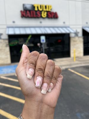 Tulip Nail & Spa