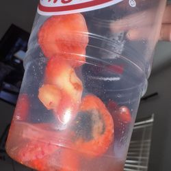 Wendys - Strawberry refresher