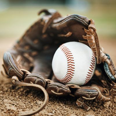 Big 5 Sporting Goods by null