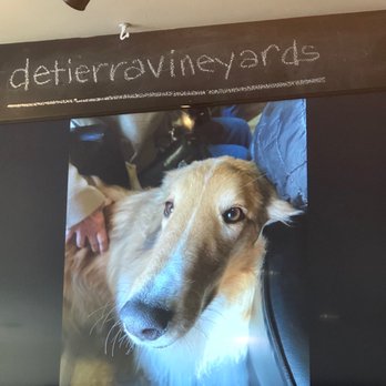De Tierra Vineyards - So cute, one of the photos that rotates on the television. - Wineries Near Me - Carmel, California De Tierra Vineyards - So cute, one of the photos that rotates on the television. - Wineries Near Me - Carmel, California