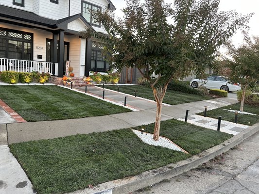 Tree Services - At Ketz Garden, we understand that a well-maintained lawn is the foundation of a beautiful outdoor space. With years of experience and a passion for excellence, we are dedicated to providing top-tier lawn maintenance services that keep your property looking lush, green, and pristine all year round. (408)-607-6181