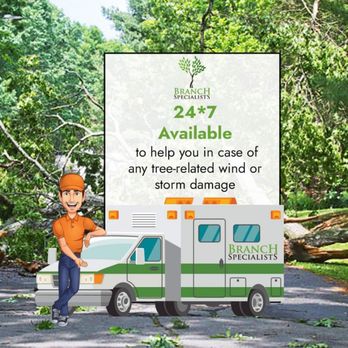 Branch Specialists - Here at Branch Specialists,  safety is our priority. - Tree Services Near Me - Buffalo, New York