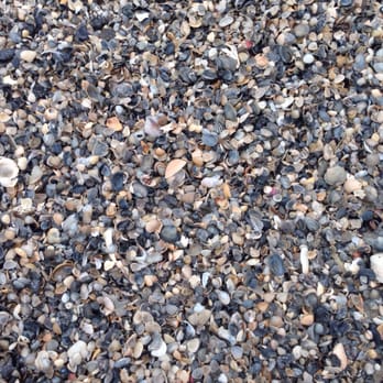 East End Lagoon Preserve - Ton of tiny shells. - Hiking Near Me - Galveston, Texas East End Lagoon Preserve - Ton of tiny shells. - Hiking Near Me - Galveston, Texas