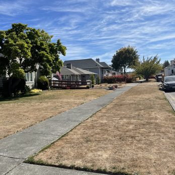 Black Diamond Tree Service - View enhancement complete. - Tree Services Near Me - Port Angeles, Washington Black Diamond Tree Service - View enhancement complete. - Tree Services Near Me - Port Angeles, Washington