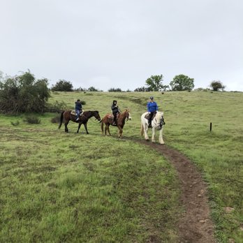 Central Coast Trailrides - Horseback Riding Near Me