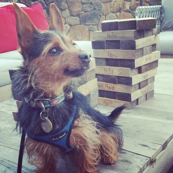 Roth Estate Winery - They have super-sized jenga and  two cornhole games - Wine Tasting Room Near Me - Healdsburg, California