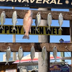Obsession Fishing Charters - Out of about 25 people and less than an hour of fishing time, this is all we've got.