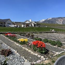 Lagrioth Winery - Flowers at the property. F