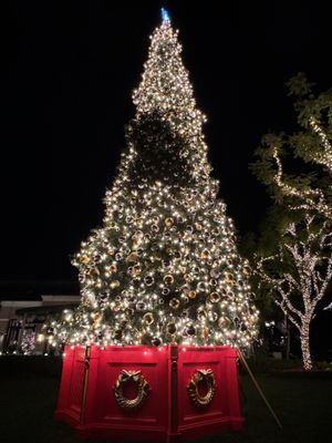 Palisades Village by null