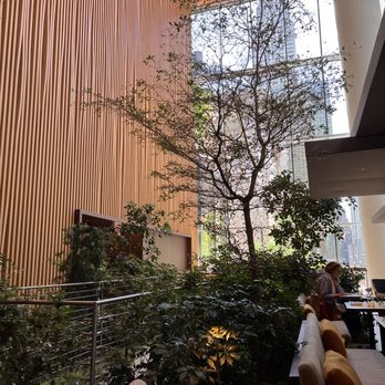 Le Pavillon - Afternoon view from table - French Near Me - New York, New York Le Pavillon - Afternoon view from table - French Near Me - New York, New York