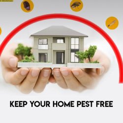 K2 Pest Control